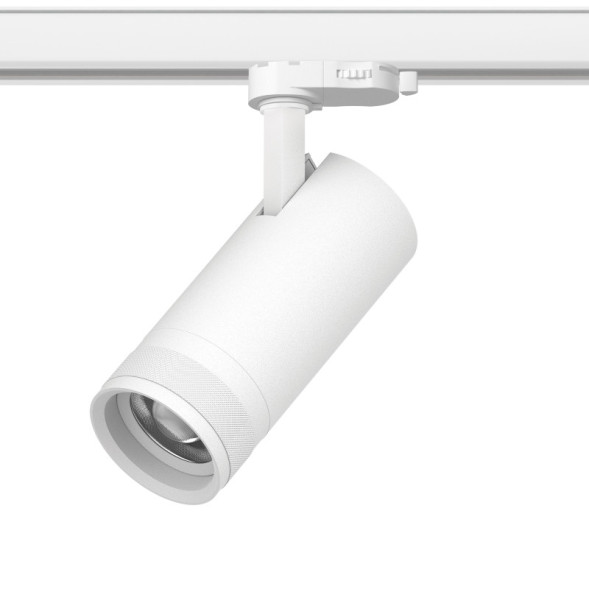 Трековый светильник C4206QT Lightstar Canno Pro