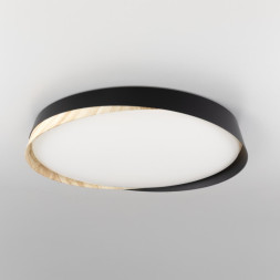 Потолочный светильник Citilux Bonny CL754451G