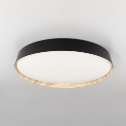 Потолочный светильник Citilux Bonny CL754451G