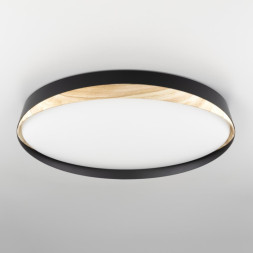 Потолочный светильник Citilux Bonny CL754451G