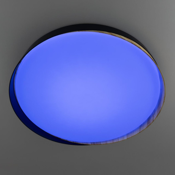 Потолочный светильник Citilux Bonny CL754451G