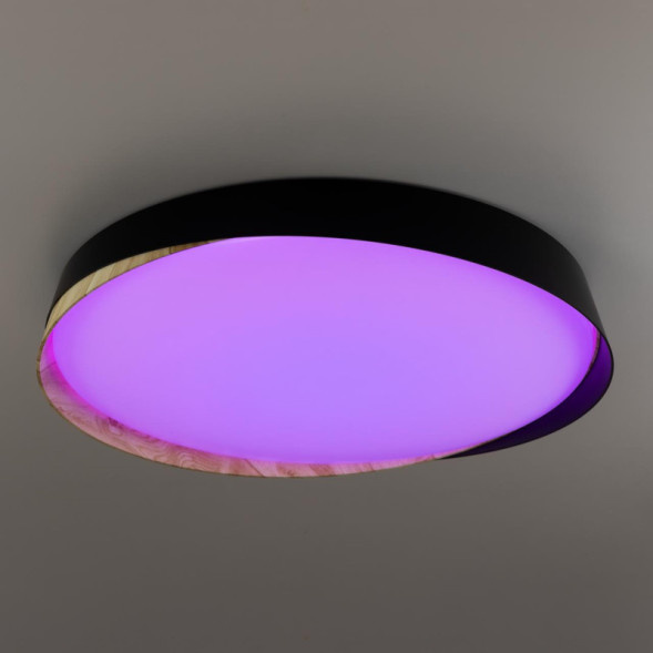 Потолочный светильник Citilux Bonny CL754451G