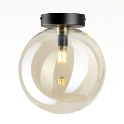 Накладной светильник Citilux CL202512 ORTON