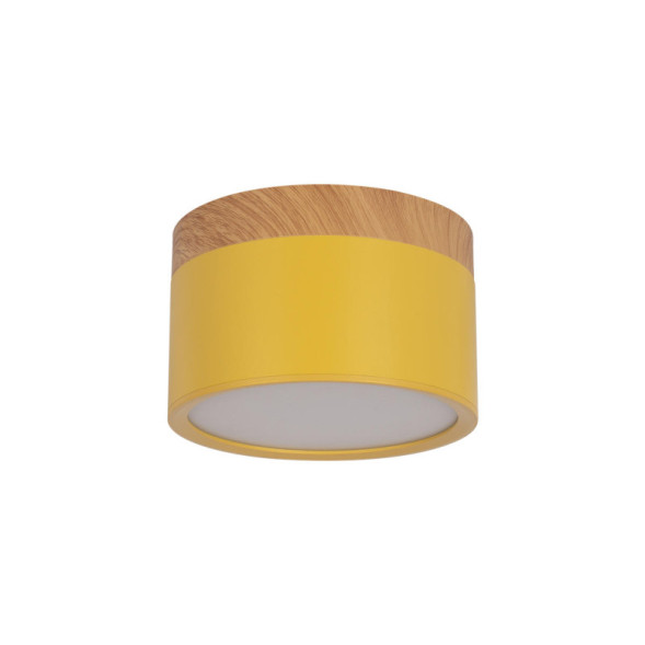 Детский точечный светильник LOFT IT Grape 10162 Yellow