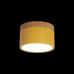 Детский точечный светильник LOFT IT Grape 10162 Yellow