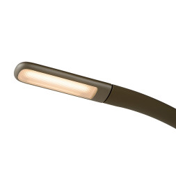 Настольная лампа LUCIDE Goosy 18655/04/02