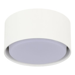 Накладной точечный светильник ST-Luce ST164.502.01