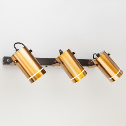 Спот Eurosvet BRONZE 20063/3 LED античная бронза