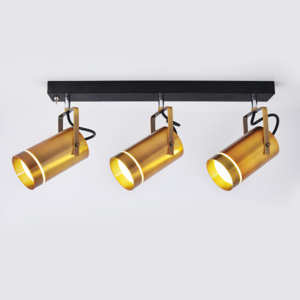 Спот Eurosvet BRONZE 20063/3 LED античная бронза