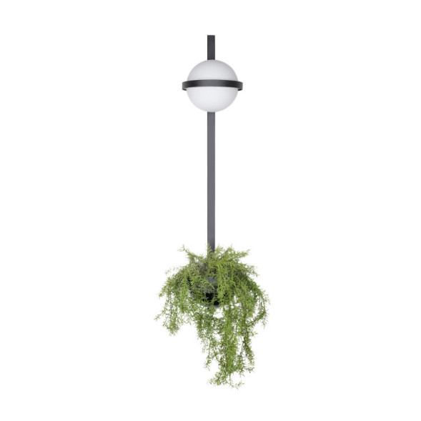 Бра LOFT IT JARDIN 10121W/B