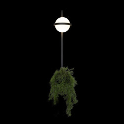 Бра LOFT IT JARDIN 10121W/B