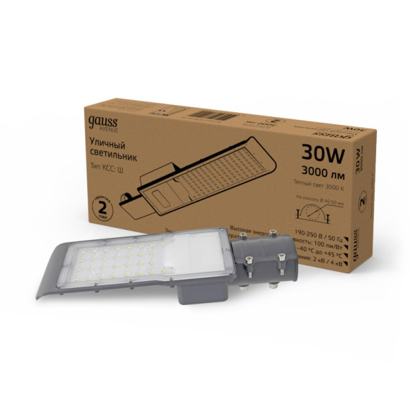 Консольный светильник Gauss 629534130 AVENUE