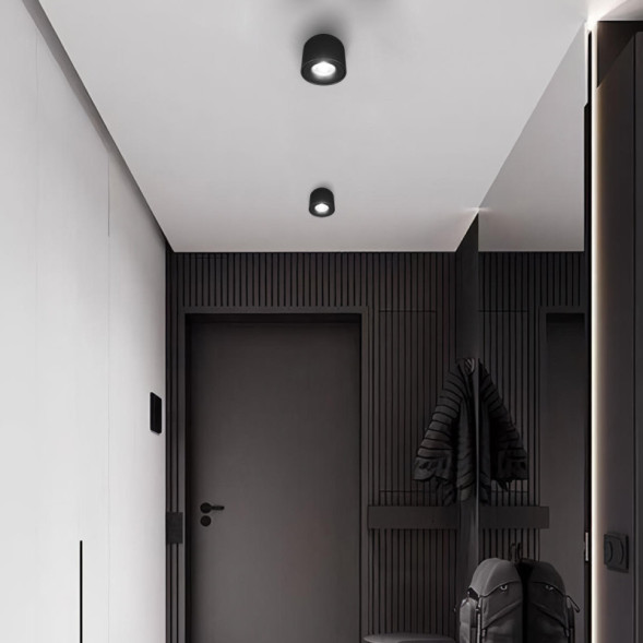 Накладной точечный светильник LOFT IT 10219 Black 4000K