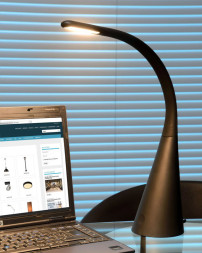 Настольная лампа LUCIDE Goosy 18655/04/30