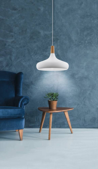 Подвесной светильник EGLO 901179 SABINAR