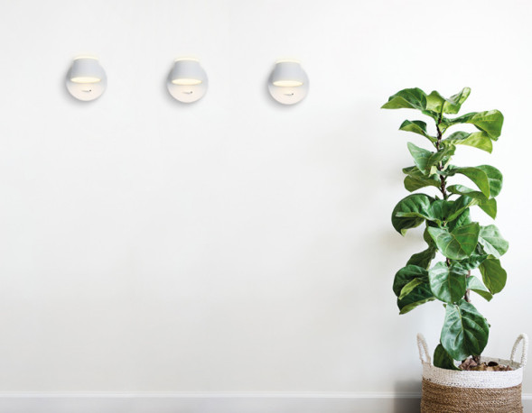 Бра Ambrella Light INDIVIDUAL FW166