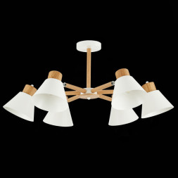 Люстра на штанге Evoluce BUVE SLE103702-06