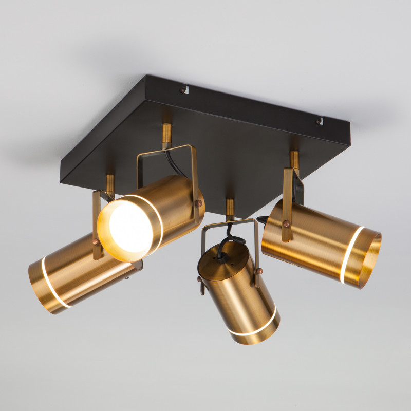 Спот Eurosvet BRONZE 20063/4 LED античная бронза