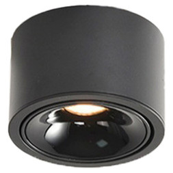 Точечный накладной светильник WTA.O06.667.30.07 WERTMARK Altair