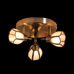 Спот Citilux Альтен CL522531