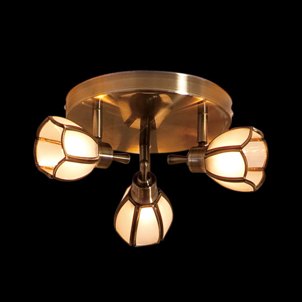 Спот Citilux Альтен CL522531