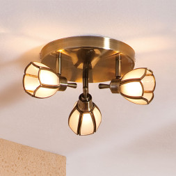 Спот Citilux Альтен CL522531