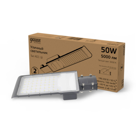 Консольный светильник Gauss 629534150 AVENUE