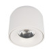 Накладной точечный светильник LOFT IT 10219 White 3000K