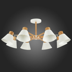 Люстра на штанге Evoluce BUVE SLE103702-08